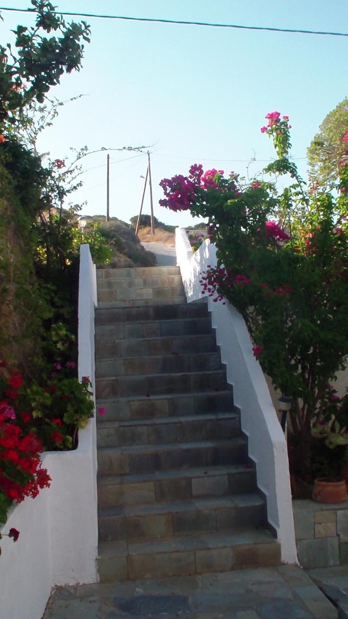 Creta Vassakis Studios 2 Kéfalos Exteriör bild