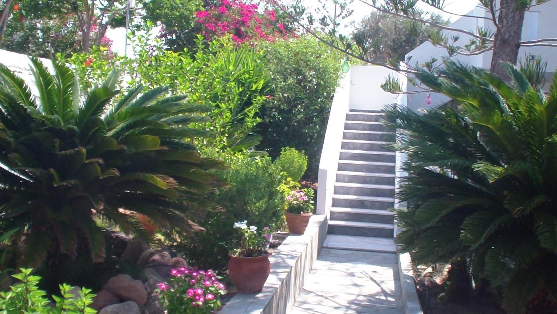 Creta Vassakis Studios 2 Kéfalos Exteriör bild